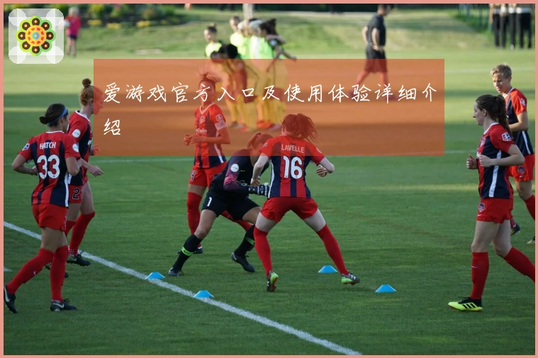 爱游戏官方入口及使用体验详细介绍