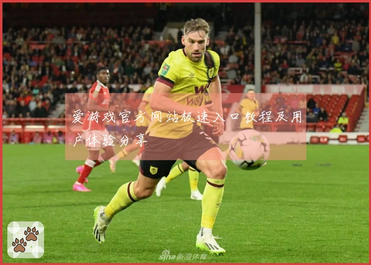 爱游戏官方网站极速入口教程及用户体验分享