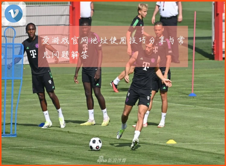 爱游戏官网地址使用技巧分享与常见问题解答