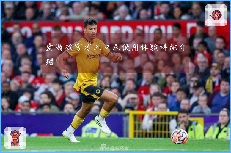 爱游戏官方入口及使用体验详细介绍