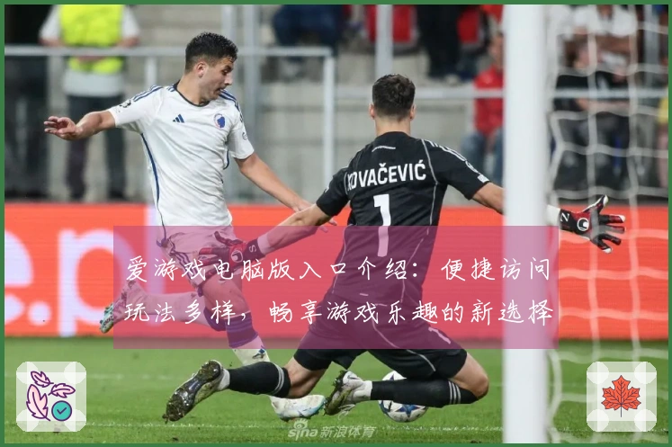 爱游戏电脑版入口介绍：便捷访问玩法多样，畅享游戏乐趣的新选择
